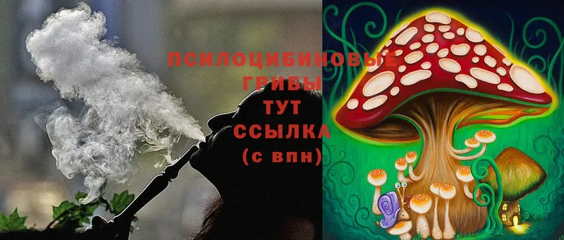 Псилоцибиновые грибы MAGIC MUSHROOMS  Усинск 